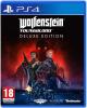 Фото Wolfenstein: Youngblood Deluxe Edition (PS4), Blu-ray диск