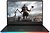 Фото MSI GE66 Raider Assassin's Creed 10SF (GE6610SF-650UA)