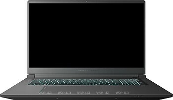 Фото Thunderobot 911 X17 (911X17-i7136H56C1Q165MBD)
