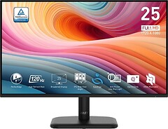 Фото MSI Pro MP251L E2