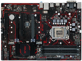 Фото Asus Prime B250-Plus