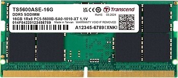 Фото Transcend TS5600ASE-16G