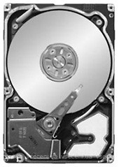 Фото Seagate Savvio 10K.3 300 GB (ST9300503SS)