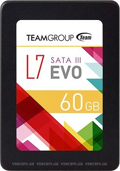 Фото Team Group L7 Evo 60 GB (T253L7060GTC101)