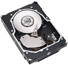 Фото Fujitsu 300 GB (S26361-F4482-L130)