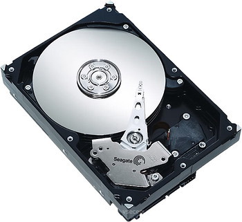 Фото Seagate Barracuda ES 400 GB (ST3400620NS)