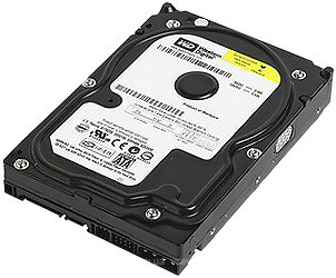 Фото Western Digital Caviar Blue 320 GB (WD3200AAJS)