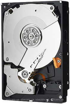 Фото Western Digital Caviar Black 500 GB (WD5001AALS)