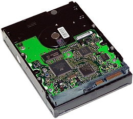 Фото HP 250 GB (411276-B21)