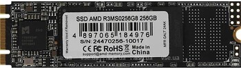 Фото AMD Radeon R3 256 GB (R3MS0256G8)