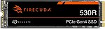 Фото Seagate FireCuda 530R 1 TB (ZP1000GM3A063)