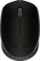 Фото Logitech M171 Black USB (910-004424)