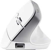 Фото Trust Bayo+ Multidevice Ergonomic Wireless Mouse White Bluetooth/USB (25399)