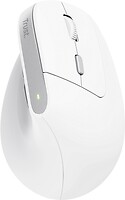 Фото Trust Bayo II Ergonomic Wireless Mouse White USB (25398)