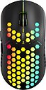 Фото Canyon Haster GMW-18 Black USB (CND-SGMW18)
