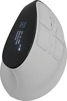 Фото Natec Euphonie Pro White Bluetooth/USB (NMY-2378)