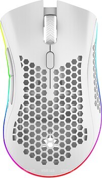 Фото White Shark Lionel White USB