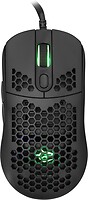 Фото White Shark Galahad Black USB