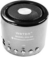 Фото Wster WS-Q9