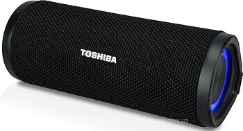 Фото Toshiba TY-WSP102