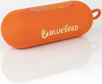 Фото Blueseed BS-318 Orange