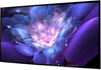 Фото AV Screen BX-SM100LFH-AK