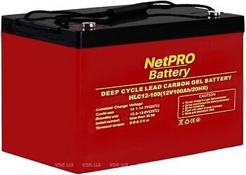 Фото NetPro HLC12-100 12V100AH