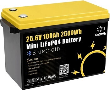 Фото GoKWh LiFePO4 25.6V-100Ah BMS