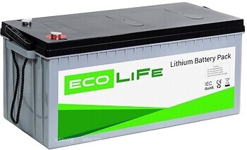 Фото EcoLiFe LiFePO4 12V 200Ah (LF12-200)