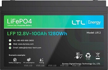 Фото Dyness 12.8V 100Ah (LR1.2)