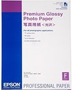 Фото Epson Premium Glossy Photo Paper (C13S042091)