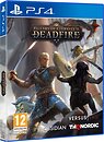 Фото Pillars of Eternity II: Deadfire (PS4), Blu-ray диск