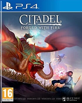 Фото Citadel: Forged with Fire (PS4), Blu-ray диск