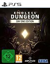 Фото Endless Dungeon Day One Edition (PS5), Blu-ray диск