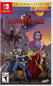 Фото Hammerwatch II: The Chronicles Edition (Nintendo Switch), картридж
