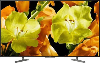 Фото Sony KD-55XG8196