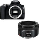 Фото Canon EOS 250D Kit 50 F/1.8 STM