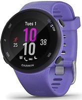 Фото Garmin Forerunner 45S Iris (010-02156-11)