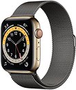 Фото Apple Watch Series 6 GPS + Cellular 44mm Gold Stainless Steel Case with Graphite Milanes Loop (M0GD3/M0GV3)
