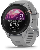 Фото Garmin Forerunner 255S Slate (010-02641-02)