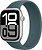 Фото Apple Watch Series 10 GPS 46mm Silver Aluminium Case with Lake Green Solo Loop (MWX03+MXLR3)