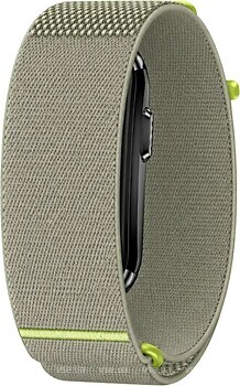 Фото Garmin Cirqa Citron Grey (010-04688-01/010-14472-05)