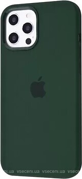 Фото Apple iPhone 12 Pro Max Silicone Case with MagSafe and Splash Screen Cyprus Green