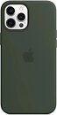 Фото Apple iPhone 12 Pro Max Silicone Case with MagSafe Cyprus Green