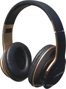 Фото Esperanza EH220 Black/Gold