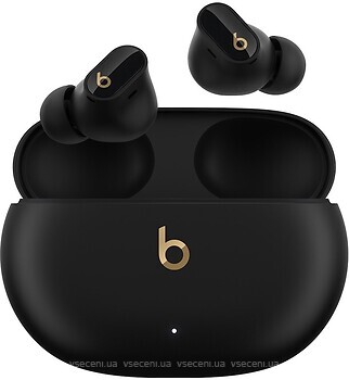 Фото Beats Studio Buds Plus Black/Gold (MQLH3)