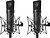 Фото Neumann U 87 AI MT Stereo