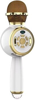 Фото Epik DS810 Gold