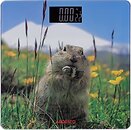 Фото Ardesto SCB-965MARMOT