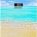 Фото Brock Electronics BS 002